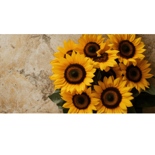 Girasoles: Alegría y vitalidad